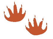 L'image est là pour illustrer un des bienfaits de la réflexologie avec un trait d'humour.