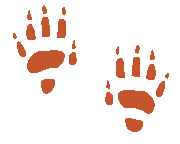 Image représentant deux traces de pas de de taupe pour illustrer le soulagement de la douleur. C'est un autre des bienfaits de la réflexologie. La réflexologie n'est pas un simple massage. Lucie Martineau propose des soins en réflexologie plantaire. Afin d'en sentir tous les bienfaits, prenez rendez vous.