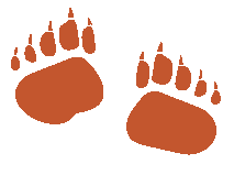 Lucie Martineau a choisi avec humour deux pattes d'ours pour symboliser le traitement des troubles émotionnels avec la réflexologie plantaire. Vous pouvez prendre RDV avec elle par téléphone, par mail, par sms ou directement via resalib. Elle vous reçoit sur Bayonne ou Hasparren , proche BAB