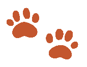 Illustration de deux pattes de chats pour représenter le rééquilibrage du corps. C'est un des nombreux bienfaits de la réflexologie plantaire. Vous pouvez joindre Lucie MARTINEAU pour réserver une séance ou directement sur RESALIB pour les cabinets de Bayonne et Hasparren proche BAB